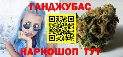 a pvp Камышлов