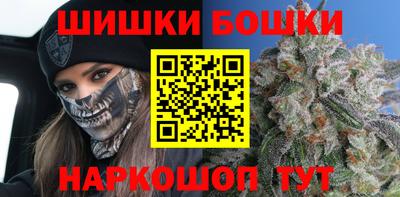 МДПВ Кингисепп