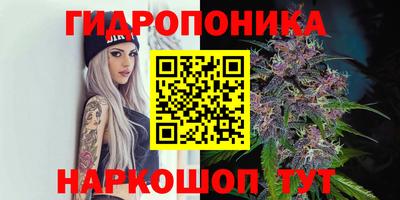 бошки Кинель