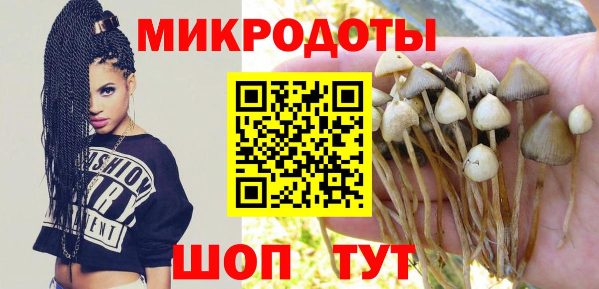 Галлюциногенные грибы ЛСД  купить  цена  Кстово  Вход с VPN  Псилоцибиновые грибы Cubensis 